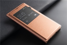 מגן נרתיק C זהב