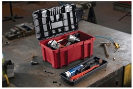 ארגז 22 ריינו