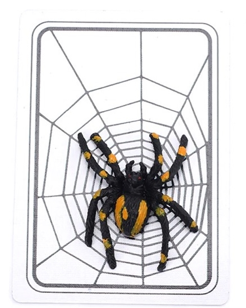 סיוט של עכביש